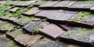 St Mawes roof repair costs